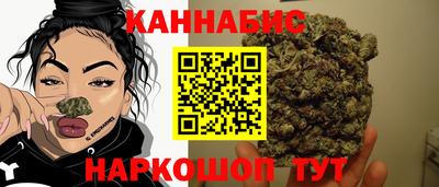 гидра Гай