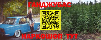 гидра Гай