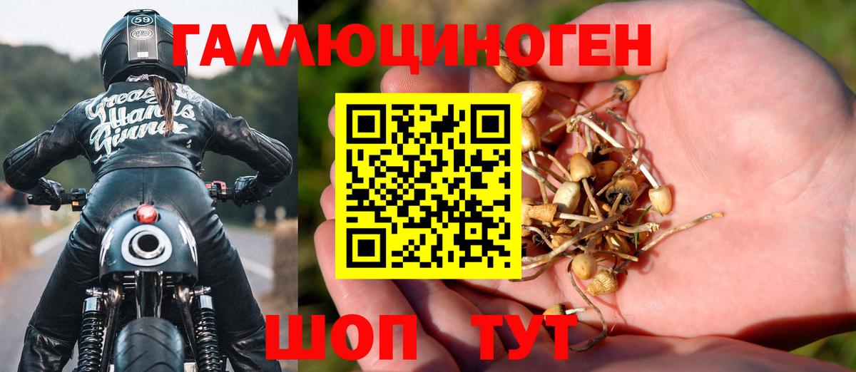 Псилоцибиновые грибы мухоморы Мурино